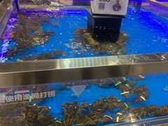 水产区-盒马鲜生(龙德广场店)