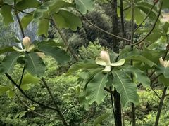 -鹿院坪生态旅游景区