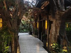 -云境生态园(红谷滩店)