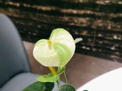 -眉州东坡(清河万象汇店)