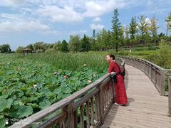 -羊亭河湿地公园