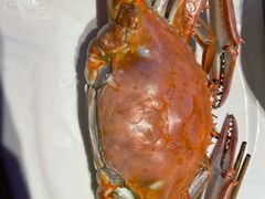 -渔民船说·北塘海鲜·天津菜·海肠捞饭(北塘古镇店)