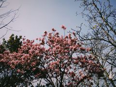 -荆川公园