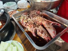 -金海椒罐罐鲢鱼(东方桂苑店)