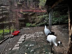 -哈尔滨北方森林动物园