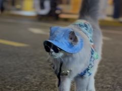 -中海环宇荟