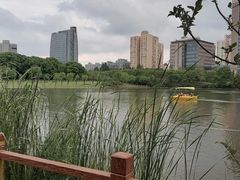 -黄兴公园