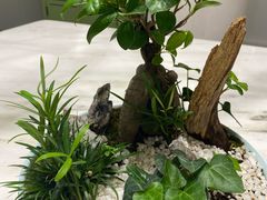 -御仙都北京菜馆·烤鸭店(双井店)