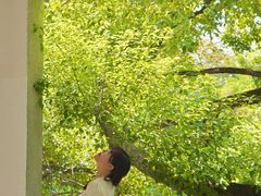 -湖北美术学院(昙华林校区)