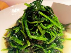 紫菜炒菠菜-醉舍·新淮扬菜(长宁龙之梦店)