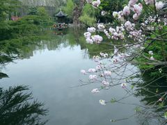 -水绘园