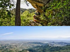 -大芦花风景区