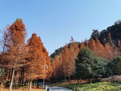 -贵阳市花溪国家城市湿地公园