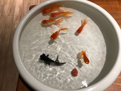 -花城苑广府菜(侨鑫店)