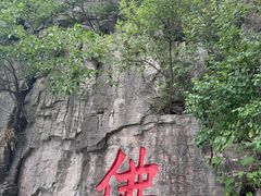 -抱犊崮国家森林公园