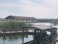 -太湖湖滨国家湿地公园-停车场