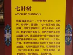 -西安市广仁寺