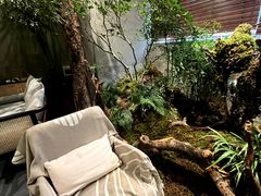 -森SPA·泰式按摩·精油Massage(宝安中心店)