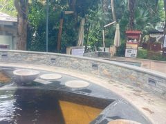 -碧水湾温泉