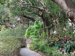 -九龙公园