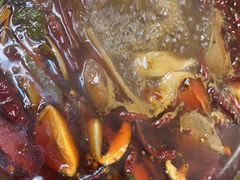 -金鼎雪山牦牛杂火锅(理县总店)