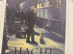 -都谷包子(天一广场店)