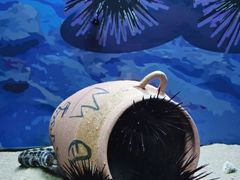 -欢乐海岸海洋奇梦馆