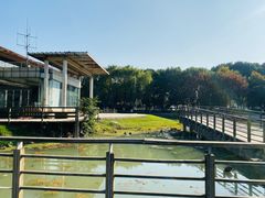 -昆山城市生态森林公园