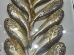 -舌尖上·霞浦滩涂海鲜·新闽菜(总店)