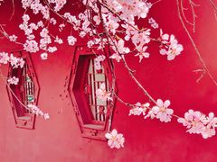 -桃花堤公园