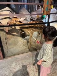 -酷嗒动物文化乐园(cutezoo西溪乐天城店)