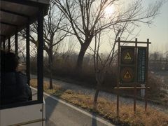 -泗洪洪泽湖湿地景区