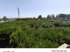 -亲兄弟真人CS团建拓展基地