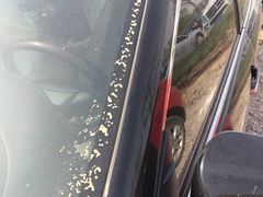 -武清南湖绿博园