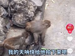 -昆明动物园