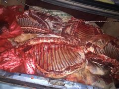 iphone_upload_pic-郭记原生态烤羊腿(长宁路店)