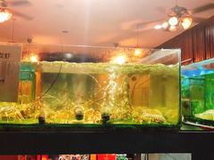 -真浪大家乐海鲜餐馆