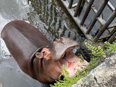-海南热带野生动植物园