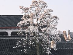 -拙政园