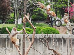 -西安秦岭野生动物园