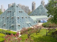 -泰丰公园