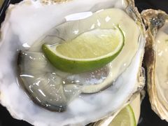-爱蚝屋