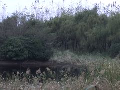 -昆山城市生态森林公园