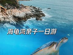 -广东惠东海龟国家级自然保护区