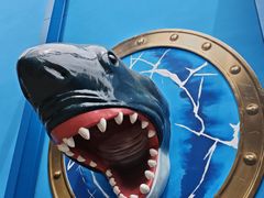 -海合安成都极地海洋公园