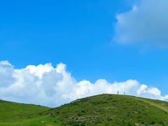 -大姆山草场