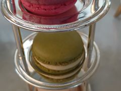 Macaron&nbsp;&nbsp;法式马卡龙-深圳温德姆至尊酒店·大堂吧·户外花园