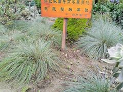 -寂照庵