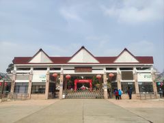-上海都市菜园