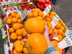 -西归浦每天偶来市场
